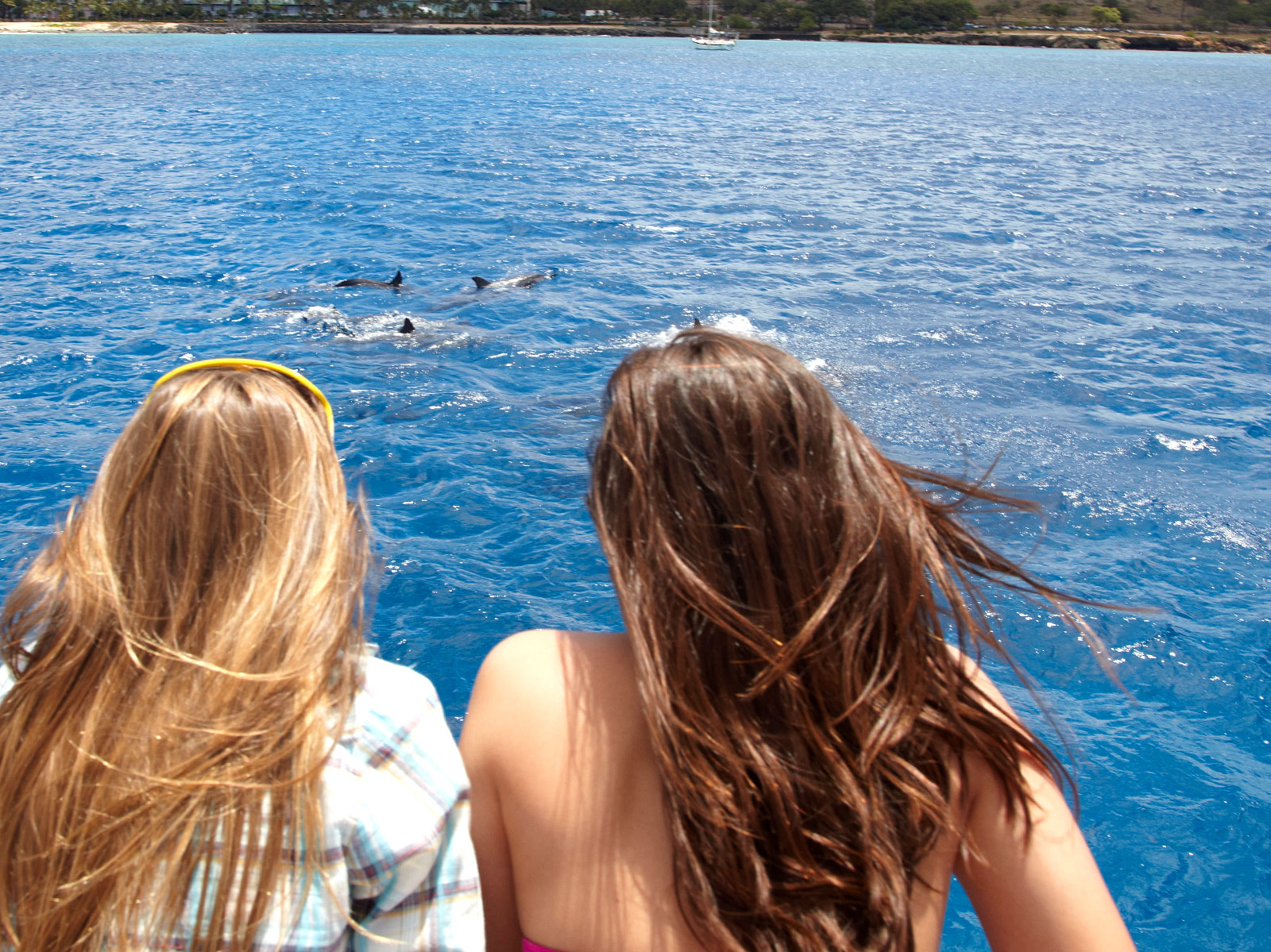 hawaiinautical-dolphintour-hero-2